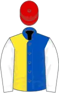Royal blue and yellow halved, white sleeves, red cap
