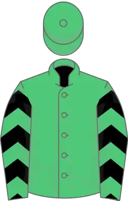 Green, black chevrons on sleeves