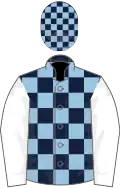 Dark blue and light blue check, white sleeves