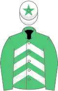 EMERALD GREEN and WHITE CHEVRONS, emerald green sleeves, white cap, emerald green star