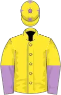 Yellow, purple and yellow halved sleeves, yellow cap, purple stars