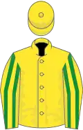 Yellow, green striped sleeves
