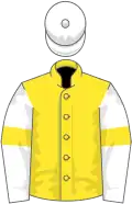 Yellow, white sleeves, yellow armlets, white cap