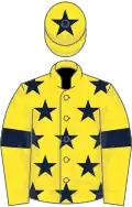 Yellow, Dark Blue stars, armlets and star on cap