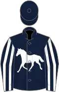 Dark blue, white horse, dark blue sleeves, white stripes, dark blue cap