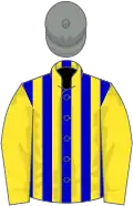 Blue and yellow stripes, yellow sleeves, grey cap