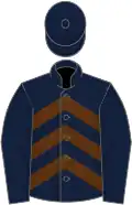 Dark blue, brown chevrons, dark blue sleeves and cap