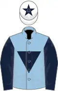 Light blue, dark blue inverted triangle and sleeves, white cap, dark blue star