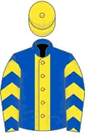 Royal blue, yellow stripe, chevrons on sleeves, yellow cap
