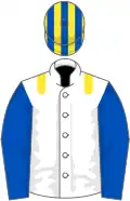 White, yellow epaulettes, royal blue sleeves, yellow and royal blue striped cap