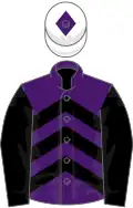 Purple, black chevrons and sleeves, white cap, purple diamond