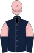Dark blue, pink and dark blue halved sleeves, pink cap