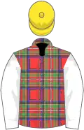 Tartan, white sleeves, yellow cap