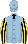 Light blue, yellow and black striped sleeves