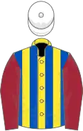 Yellow and royal blue stripes, maroon sleeves, white cap