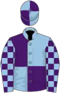 Light blue and purple (quartered), checked sleeves, quartered cap