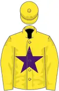 Yellow, purple star, yellow cap