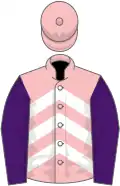 Pink and white chevrons, purple sleeves, pink cap