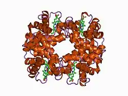 1a3n: DEOXY HUMAN HEMOGLOBIN