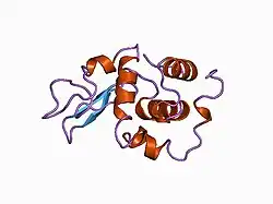 1b7n: VERIFICATION OF SPMP USING MUTANT HUMAN LYSOZYMES