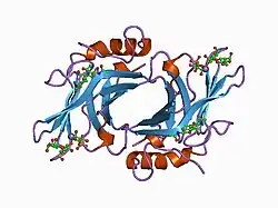 1c39: STRUCTURE OF CATION-DEPENDENT MANNOSE 6-PHOSPHATE RECEPTOR BOUND TO PENTAMANNOSYL PHOSPHATE
