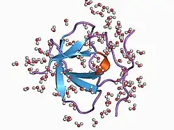 1cka: STRUCTURAL BASIS FOR THE SPECIFIC INTERACTION OF LYSINE-CONTAINING PROLINE-RICH PEPTIDES WITH THE N-TERMINAL SH3 DOMAIN OF C-CRK