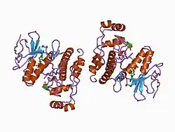 1cm8: PHOSPHORYLATED MAP KINASE P38-GAMMA