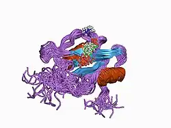 1csy: SYK TYROSINE KINASE C-TERMINAL SH2 DOMAIN COMPLEXED WITH A PHOSPHOPEPTIDEFROM THE GAMMA CHAIN OF THE HIGH AFFINITY IMMUNOGLOBIN G RECEPTOR, NMR