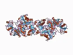 1d0n: THE CRYSTAL STRUCTURE OF CALCIUM-FREE EQUINE PLASMA GELSOLIN.