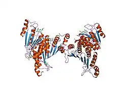 1dcp: DCOH, A BIFUNCTIONAL PROTEIN-BINDING TRANSCRIPTIONAL COACTIVATOR, COMPLEXED WITH BIOPTERIN