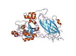 1doa: STRUCTURE OF THE RHO FAMILY GTP-BINDING PROTEIN CDC42 IN COMPLEX WITH THE MULTIFUNCTIONAL REGULATOR RHOGDI