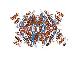 1dq8: COMPLEX OF THE CATALYTIC PORTION OF HUMAN HMG-COA REDUCTASE WITH HMG AND COA