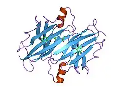1e4h: STRUCTURE OF HUMAN TRANSTHYRETIN COMPLEXED WITH BROMOPHENOLS: A NEW MODE OF BINDING