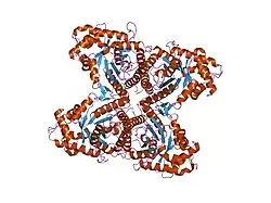1ex5: FRUCTOSE 1,6-BISPHOSPHATE ALDOLASE FROM RABBIT MUSCLE