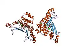 1f93: CRYSTAL STRUCTURE OF A COMPLEX BETWEEN THE DIMERIZATION DOMAIN OF HNF-1 ALPHA AND THE COACTIVATOR DCOH