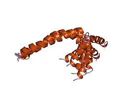 1fjp: NMR Solution Structure of Phospholamban (C41F)