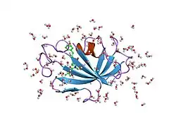 1fkh: DESIGN, SYNTHESIS, AND KINETIC EVALUATION OF HIGH-AFFINITY FKBP LIGANDS, AND THE X-RAY CRYSTAL STRUCTURES OF THEIR COMPLEXES WITH FKBP12