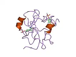 1fu5: NMR STRUCTURE OF THE N-SH2 DOMAIN OF THE P85 SUBUNIT OF PI3-KINASE COMPLEXED TO A DOUBLY PHOSPHORYLATED PEPTIDE DERIVED FROM POLYOMAVIRUS MIDDLE T ANTIGEN