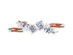 1fzc: CRYSTAL STRUCTURE OF FRAGMENT DOUBLE-D FROM HUMAN FIBRIN WITH TWO DIFFERENT BOUND LIGANDS