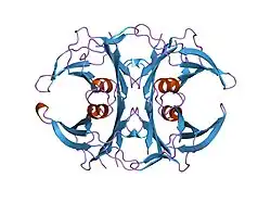1g1o: CRYSTAL STRUCTURE OF THE HIGHLY AMYLOIDOGENIC TRANSTHYRETIN MUTANT TTR G53S/E54D/L55S