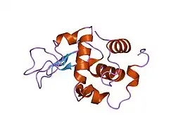 1gb9: CRYSTAL STRUCTURE OF MUTANT HUMAN LYSOZYME SUBSTITUTED AT THE SURFACE POSITIONS