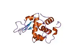 1gf5: BURIED POLAR MUTANT HUMAN LYSOZYME