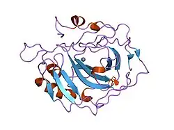 1hea: CARBONIC ANHYDRASE II (CARBONATE DEHYDRATASE) (HCA II) (E.C.4.2.1.1) MUTANT WITH LEU 198 REPLACED BY ARG (L198R)