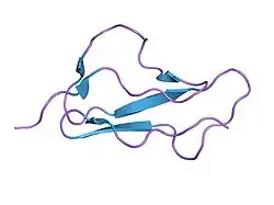 1hfi: SOLUTION STRUCTURE OF A PAIR OF COMPLEMENT MODULES BY NUCLEAR MAGNETIC RESONANCE