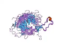1hhn: CALRETICULIN P-DOMAIN