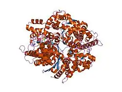 1hox: CRYSTAL STRUCTURE OF RABBIT PHOSPHOGLUCOSE ISOMERASE COMPLEXED WITH FRUCTOSE-6-PHOSPHATE