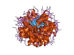 1hs5: NMR SOLUTION STRUCTURE OF DESIGNED P53 DIMER