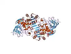 1ht0: HUMAN GAMMA-2 ALCOHOL DEHYDROGENSE