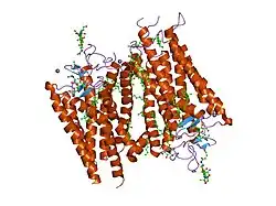 1hzx: CRYSTAL STRUCTURE OF BOVINE RHODOPSIN