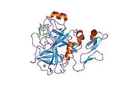 1iqg: Human coagulation factor Xa in complex with M55159